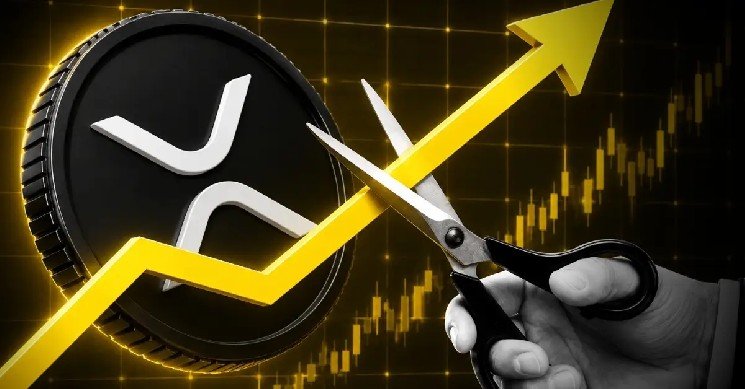 How Much XRP Do You Need to Retire? [2026 Edition]