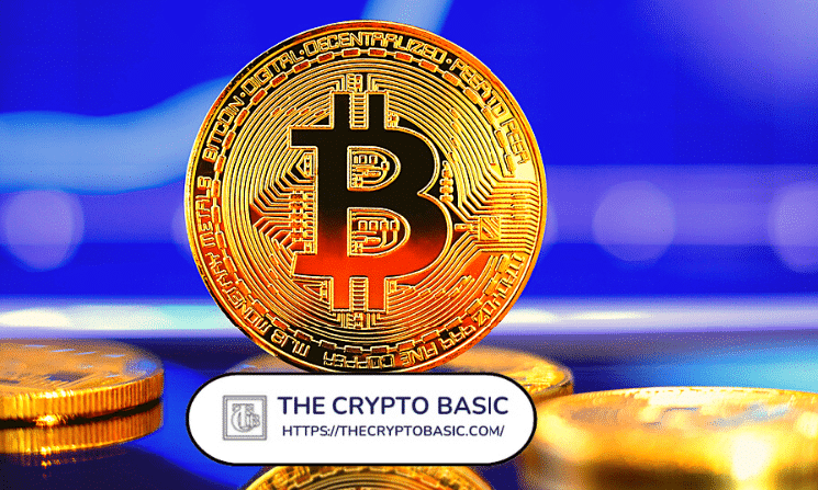 Bitcoin Preparing for a Major Move as On-Chain Signals Turn Positive