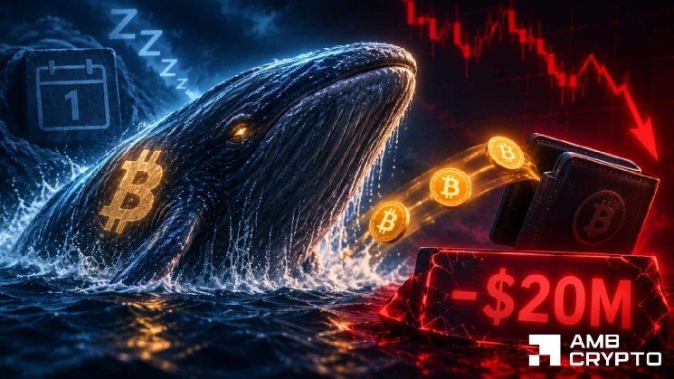 Bitcoin whale dumps 625 BTC: Can LTHs keep prices stable?