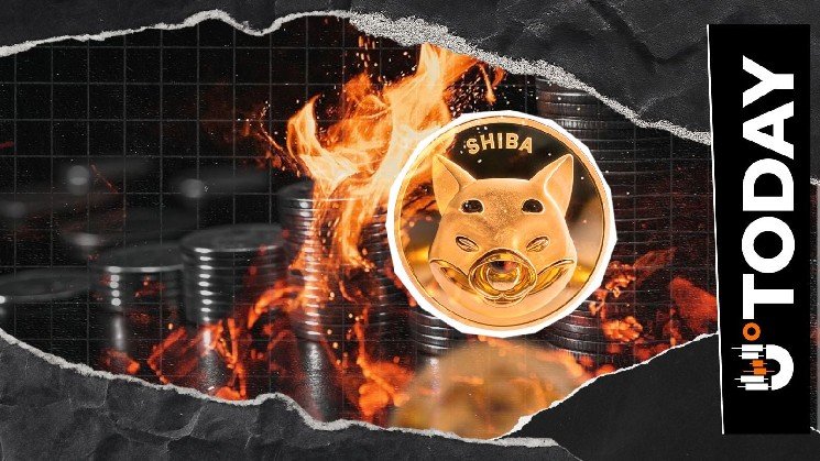 24.38 Million Shiba Inu Gone Amid 3,607% Surge in Burn Rate