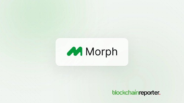 Morph Joins Bitget, Morpho, and Gauntlet to Offer Institutional-Scale DeFi Yield