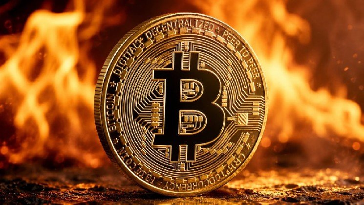 Has Bitcoin Hit Bottom, or Is a Shakeout on the Way? What About XRP?