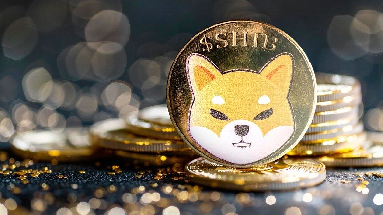 SHIB Community Marks Shiba Inu's 6th Birthday: What's Ahead?