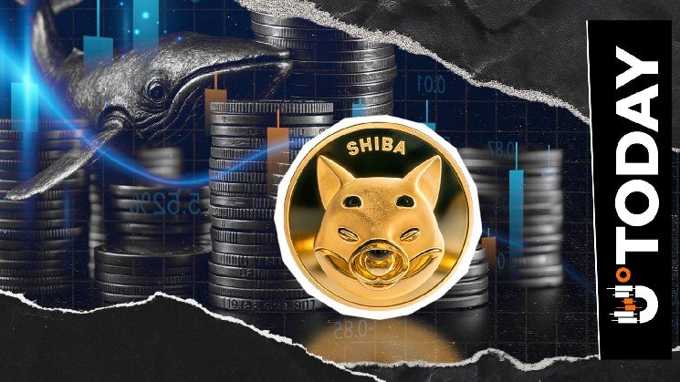 SHIB Exchange Flow Falls 97%: What's Driving Bears?