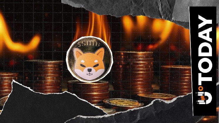 Shiba Inu Burn Rate Jumps 405% With 124,023,282 SHIB Destroyed