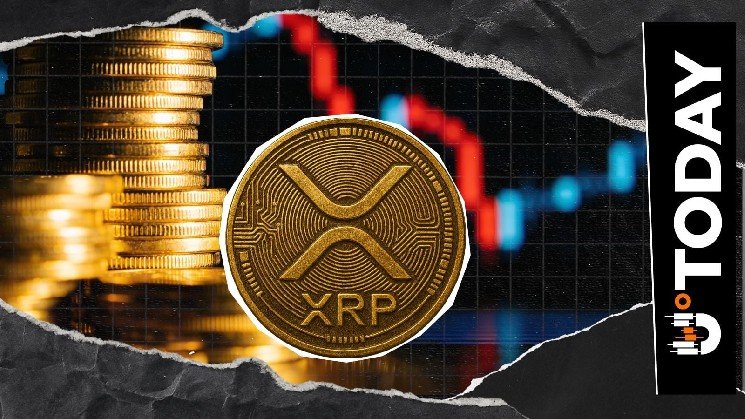 XRP Phishing Alert Issued: Why It Matters
