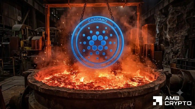 Cardano’s 44% YTD loss meets accumulation signals: Is $0.28 ADA’s next target?