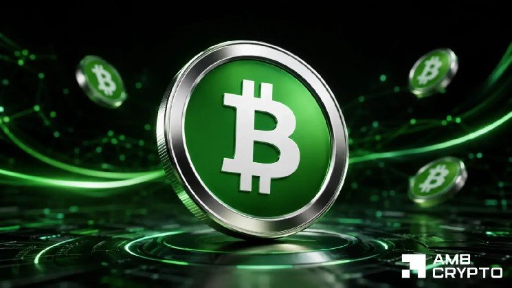 Bitcoin Cash price stalls near $214 despite Cash 3.0 payments push
