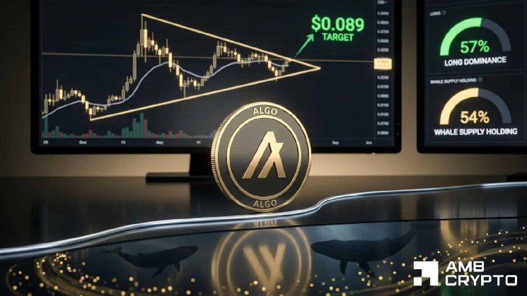 Algorand hits $0.089 target: Can ALGO whale demand sustain the move?