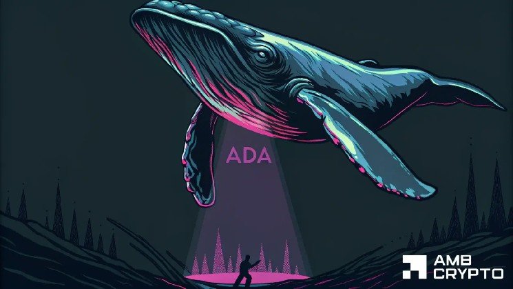 Cardano price hits $0.195 as whales move before retail