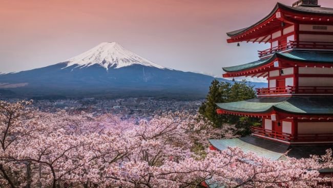 Japan's FSA launches dedicated crypto and stablecoin division on August 7