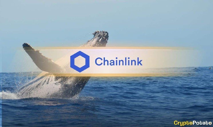 Chainlink Just Saw Its Biggest Exchange Outflow Since June – Bulls Are Watching