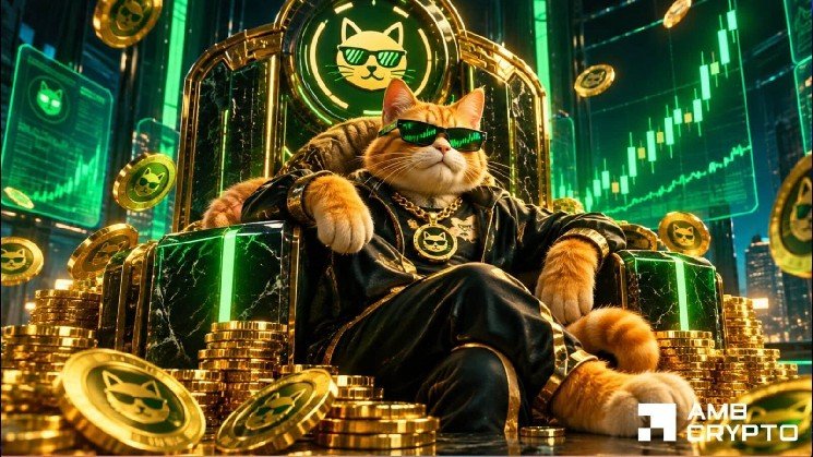 CASHCAT jumps 22% as whale buys 16M tokens – Is $0.108 next?