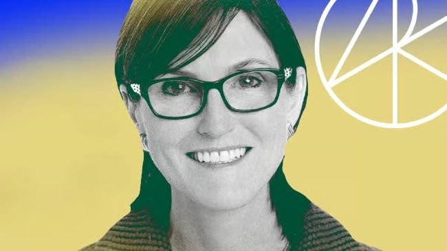Cathie Wood's Ark Invest scoops up $17 million in Circle, $20 million in SpaceX shares following Q2 results