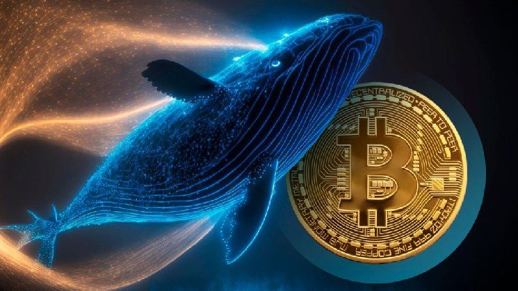 CryptoQuant: Bitcoin, Ethereum, and XRP Whales Are Buying, The Bear Market May Be Approaching Its Final Stage!