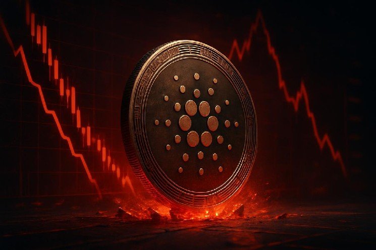 Cardano price today: ADA clings to $0.19 as DeFi fees crash up to 65%