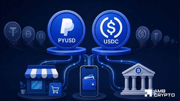 PayPal USD adds 863 wallets despite 24% market cap drop – Here’s how!