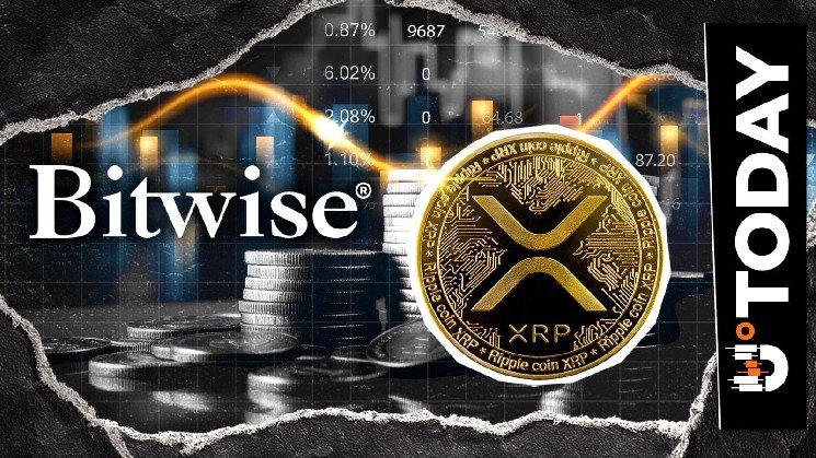 Bitwise Stuns With Unusual XRP Sale
