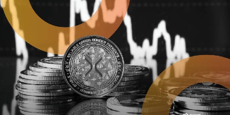 XRP, Bitcoin Whales Are Accumulating—Is the Bear Market Nearly Over?