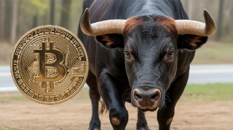 Company Managing $2.8 Billion in Bitcoin Issues Bullish Statement on BTC