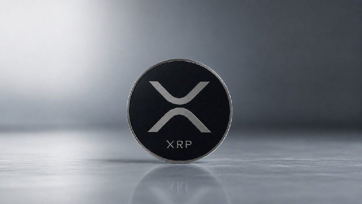 There Are Some Unusual Moves in Whale Activity for XRP