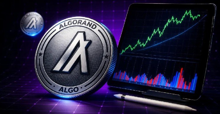 Algorand Price Rallies After Institutional Liquidity Deal—Is ALGO Ready to Explode?