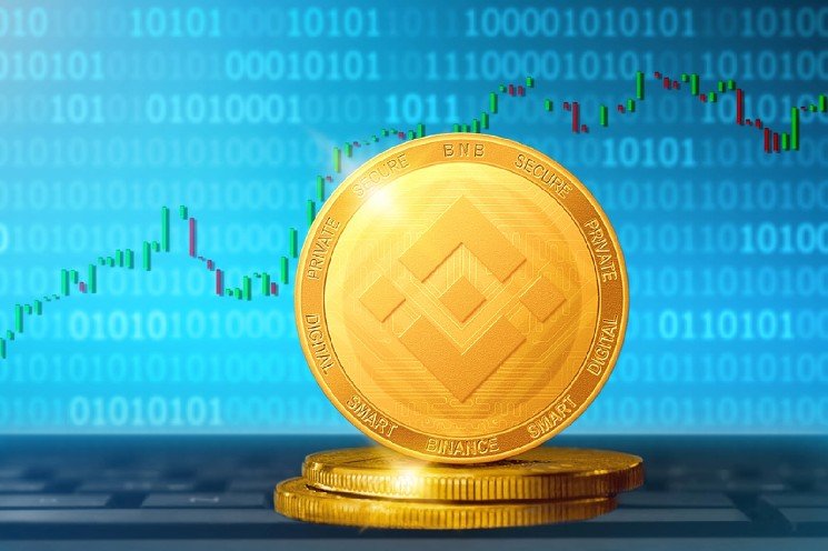 BNB Hits 80 Million Holders, Overtakes Tron as Biggest Stablecoin Network