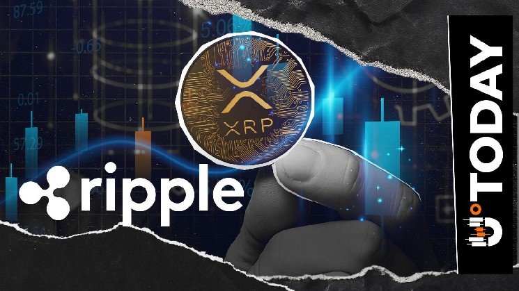 What's Next for XRP Ledger? Ripple's Engineering Chief to Break It Down at XRP Event