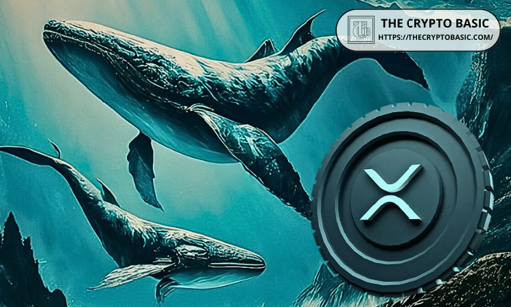 XRP Whales Holding 10M to 100M Tokens Add 1.23B XRP in 2026 Despite 43% Price Crash