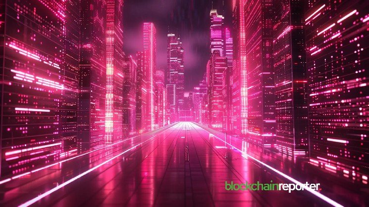 Velo Partners with Zebec to Expand Everyday Crypto Payments