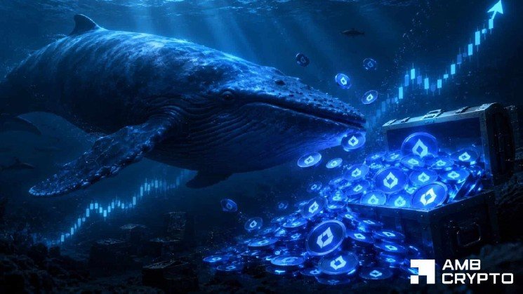 Lighter rises 9% as whale buys $9.1M LIT – Is $2.70 next?