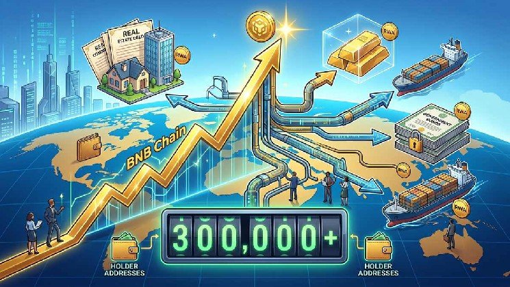BNB Chain Hits New All-Time High as RWA Adoption Surpasses 300,000 Holders