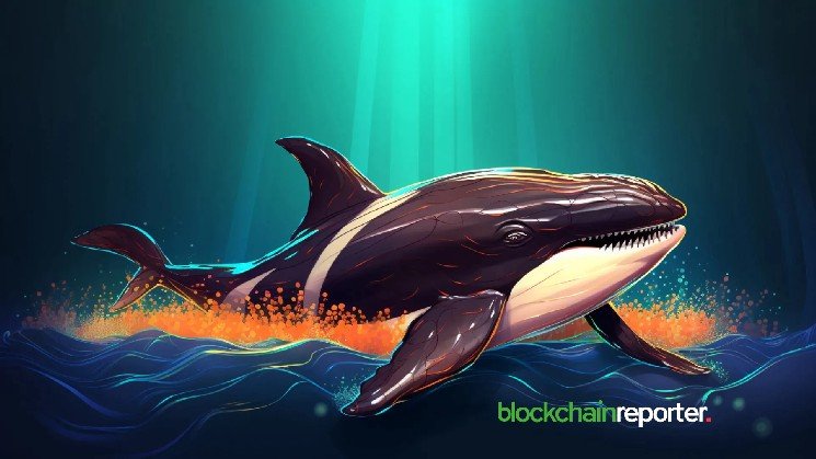 LONGPORT Whale Takes Home Ecosystem Collaboration Award as Singapore’s Fintech Model Gains Traction