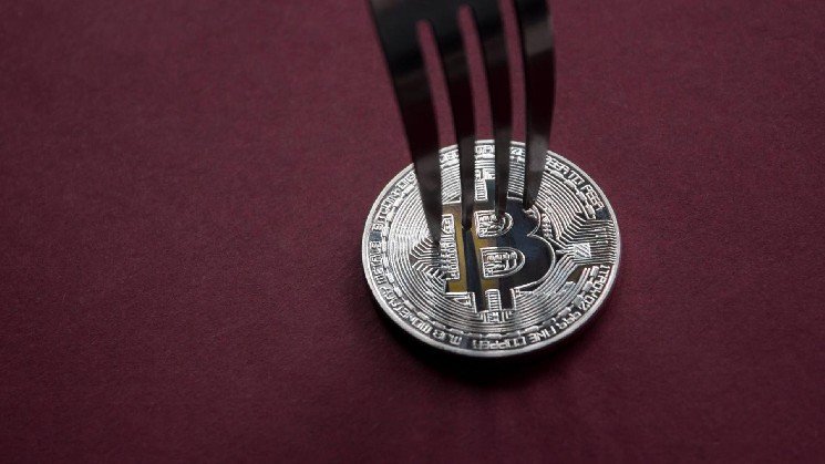 Bitcoin holders risk losing real BTC if they sell coins from BIP-110 fork, says developer