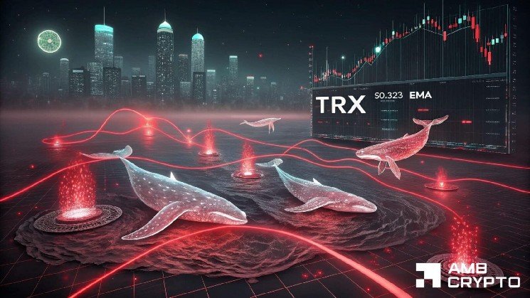 TRON’s revenue hits $37.8M as whale orders grow: Can TRX break out next?
