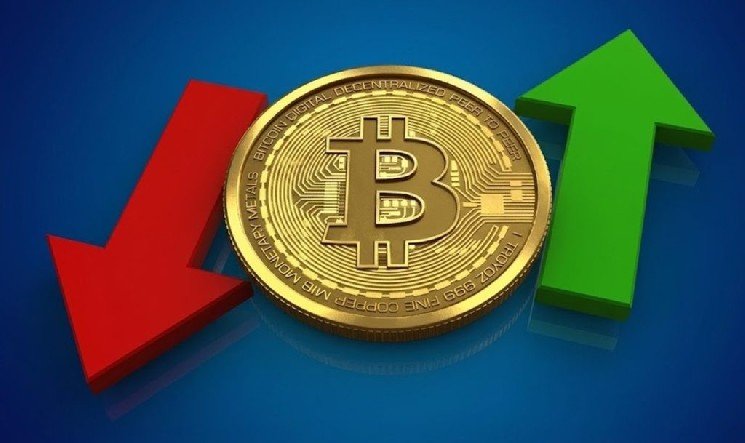 Will Bitcoin and Altcoins Finally Take Off? Small Wallets Are Struggling, While Big Whales Are Stockpiling