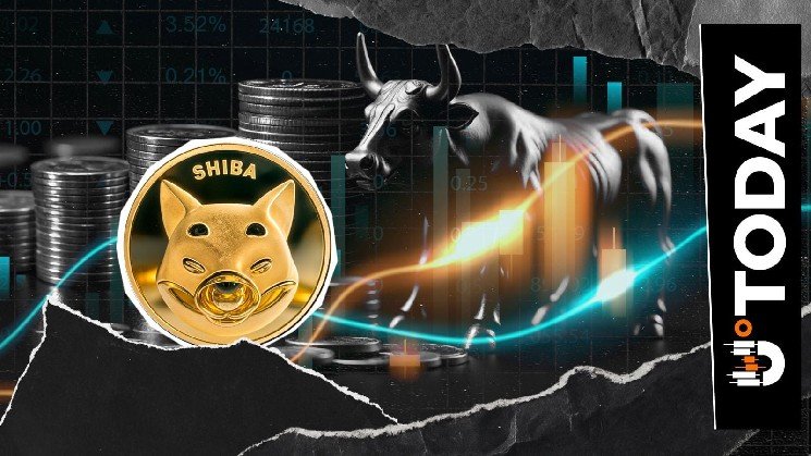 110 Billion Shiba Inu Netflow Signals Shifting Momentum