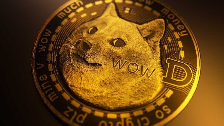 Wall Street Giant Responds to Criticism About Dogecoin (DOGE)