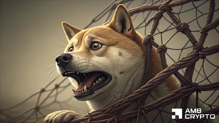 Dogecoin faces 40x short bet – Is DOGE setting up a bear trap?