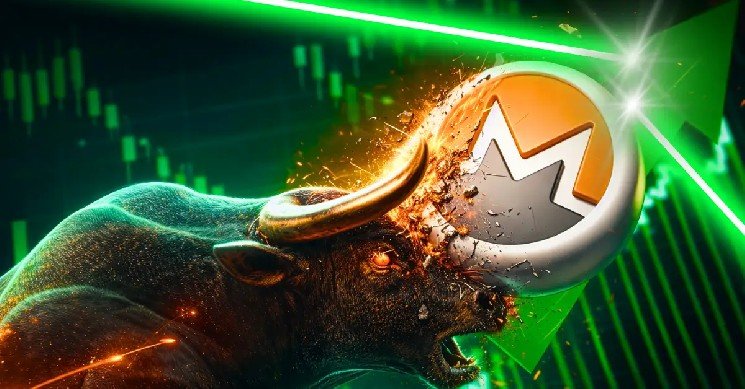 XMR Price Rally Has a New Catalyst: $14M Whale Bet Puts $500 in Focus