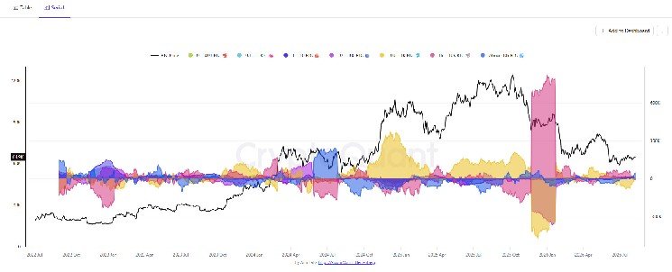 This BTC cohort has the fastest accumulation rate in 2026