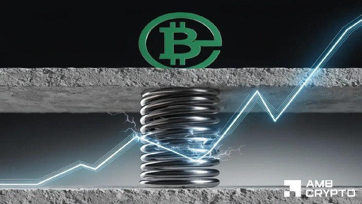 BCH liquidation clusters build above price — Is $232 next?