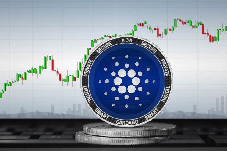 Cardano Millionaires Back Down: Why Whales Are Cashing Out of ADA Now