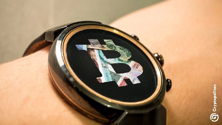 Bitcoin’s 10,000-BTC wallets hit 6-month high, what’s next?