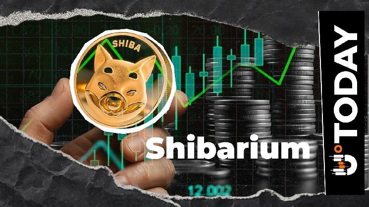 Shiba Inu: Shibarium Activity Surges 507% but Then Loses It All