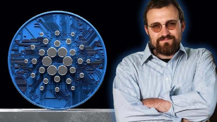 Cardano Founder Charles Hoskinson Discusses the Future of ADA: He Praised the Founder of the Controversial Altcoin