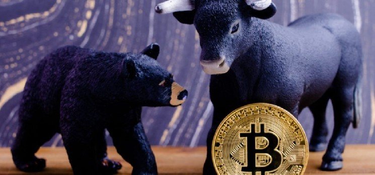VanEck Executive Matthew Sigel: “If the Clarity Act Passes, There Will Be a Enormous Rally in Cryptocurrencies”