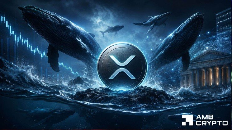XRP’s million-token wallets climb 32 as market cap falls 29%: Can whales absorb price weakness?