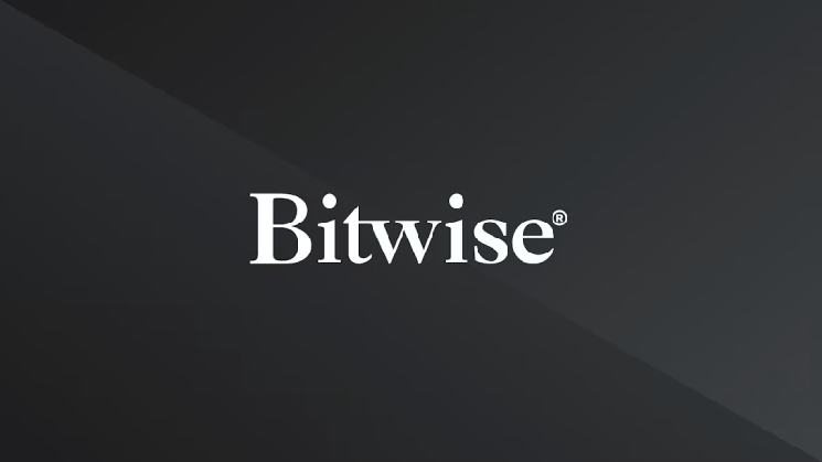 Bitwise slashes 14% of workforce amid prolonged crypto winter