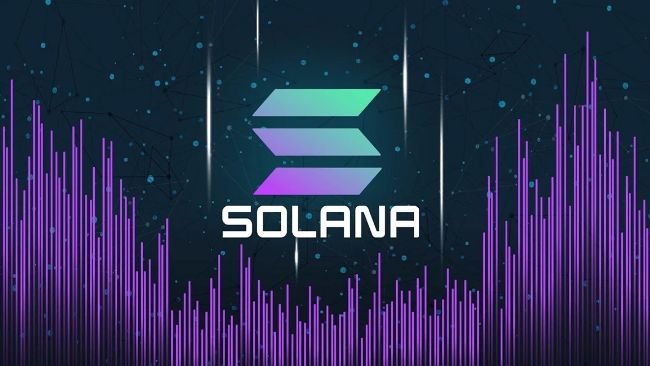 Solana came 86% of the way to a halt as 28% of stake went dark